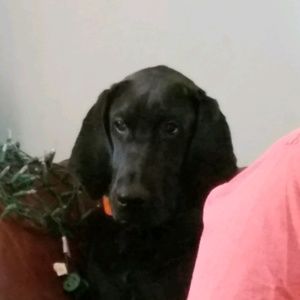 Meet your Posher, Michele